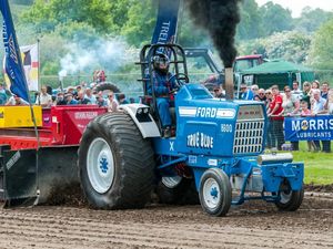 Supporting image for story: Tickets on sale as Shropshire County Show promises to be a bumper one