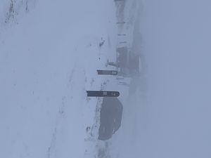 Supporting image for story: Dashing through the snow? Not quite, as farmer rescues sledders
