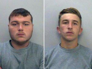 Supporting image for story