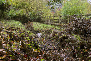 The scene where human remains were found