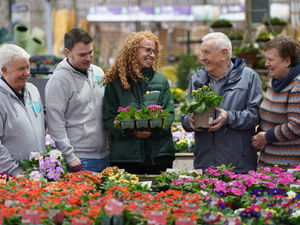 Supporting image for story: Dobbies’ Gailey store invites local schools, charities and community groups to get involved in gardening initiative