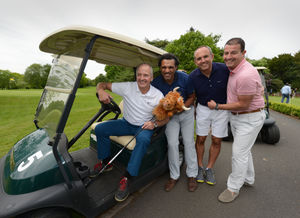 Supporting image for story