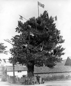 The original tree in May 1937.