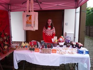 Supporting image for story: Crafty Olivia raises cash on the hoof for donkeys