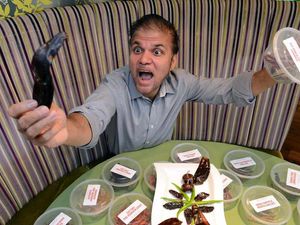 Supporting image for story: World's hottest curry not for the faint hearted