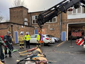 Supporting image for story: Firefighters put animal rescue training into action as they're called to rescue 'downed horse'