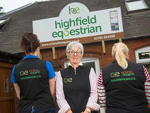 Supporting image for story: Online business to gallop to success