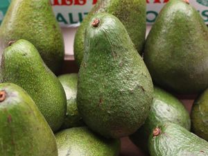 Supporting image for story: Watch this aardvark guzzle down avocado like a hungry millennial