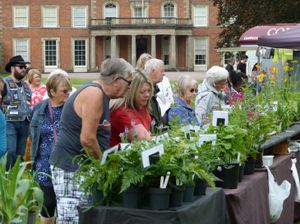 Plant Hunters' Fair at Weston Park