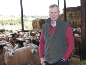 Supporting image for story: Worried Shropshire farmers 'craving stability' amid rising fertiliser and energy costs