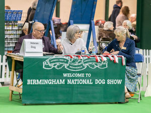 Birmingham National Dog Show 2025. Photo: Ian Knight/Z70 Photography