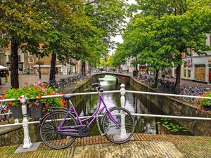 Supporting image for story: Andy Richardson: Going Dutch seems a good idea