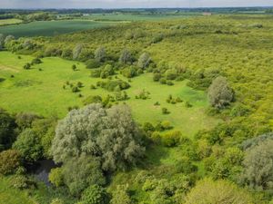 Supporting image for story: Bid to save early rewilding site that hosts rare nightingales and turtle doves