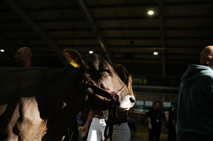 The UK Dairy Show 2023 at Telford International Centre