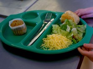 Supporting image for story: Who will be able to receive free meals over the summer?