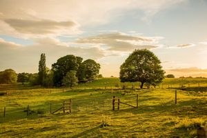 Supporting image for story: Lingen Davies cancer care renews funding for restorative sessions at England’s first community-owned farm