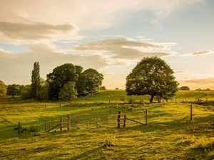 Supporting image for story: Lingen Davies cancer care renews funding for restorative sessions at England’s first community-owned farm