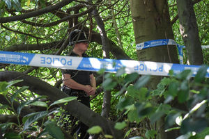 Supporting image for story