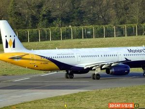 Supporting image for story: Monarch collapse: What should I do now?