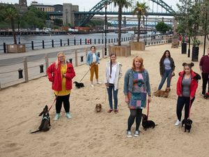 Supporting image for story: Toby Neal: Carrie, Cressida and Boris in spring's drama line-up