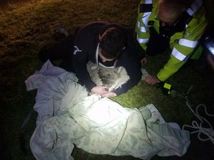 The ostrich was safely caught. Picture: South Staffs Police