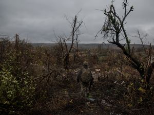 Supporting image for story: South Africa investigates how 17 men were duped into joining Russia-Ukraine war