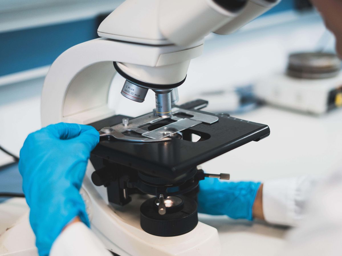 DNA ‘barcodes’ shed light on how the blood ages