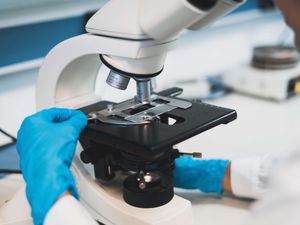 Supporting image for story: DNA ‘barcodes’ shed light on how the blood ages