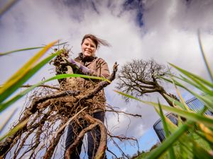 Supporting image for story: Boscobel House project to help bring famous story to life for visitors - with pictures