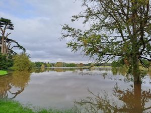 Supporting image for story: National Trust: Midlands nature feels impact of climate change in 2023