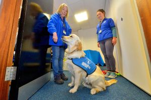 Parsnip the dog with Jess Jarvis and Susie Bell
