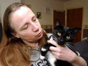 Supporting image for story: Whitchurch cat Demi survives 30 minutes in spin drier