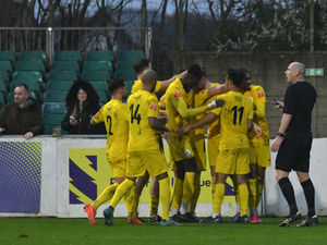 Supporting image for story: Watch out Ryan Reynolds! Telford have new US investors in town