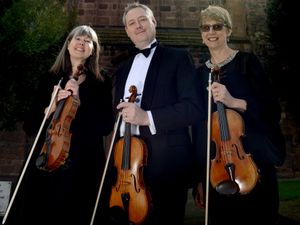 Supporting image for story: Arresting sight for concert goers