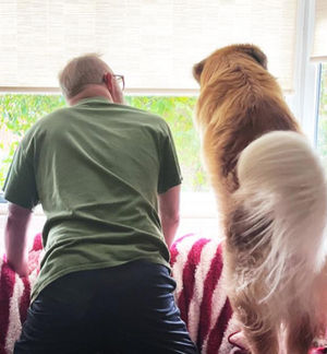 Shropshire Shared Lives