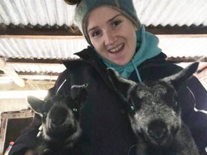 Supporting image for story: Shropshire farmers asked to help survey on food production 