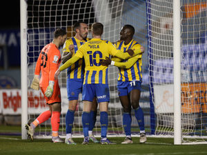 Supporting image for story: Daniel Udoh: How Shrewsbury's striker has bounced back before