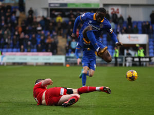 Supporting image for story: Shrewsbury Town players urged to develop footballing habit by boss Paul Hurst