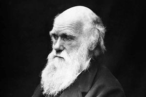 Supporting image for story: Letter: The reason we cannot take Darwin's theory as gospel