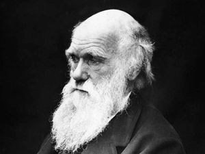 Supporting image for story: Letter: The reason we cannot take Darwin's theory as gospel