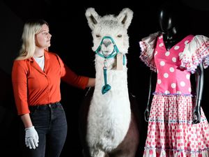 Supporting image for story: Costumes, props and ‘llama’ from Monty Python’s final live show to be auctioned