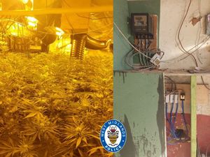 Supporting image for story: Busted: Huge cannabis factory spread across four floors at Smethwick industrial unit
