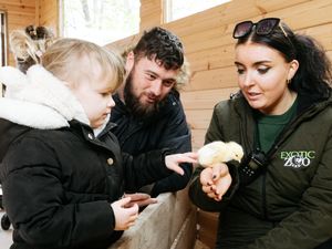 Supporting image for story: Shropshire visitor attractions: Find out what's on this Easter holidays