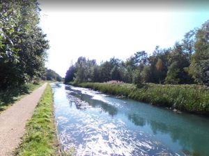 Supporting image for story: Decomposing dog found in Wolverhampton canal as RSPCA refuses to rule out foul play