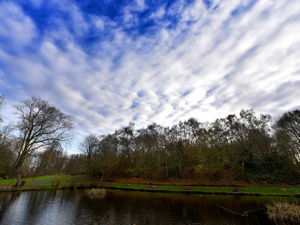 Supporting image for story: Arrest after boy's bike stolen at knifepoint in Willenhall park