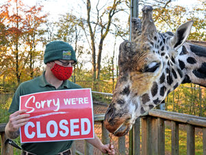 Supporting image for story: Bleak winter ahead for zoos as lockdown means lost income