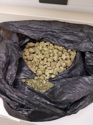 A sack of cannabis was discovered after a van was searched in Kirkstall Crescent, Bloxwich