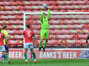 Supporting image for story: Jack Rose is pushing Liam Roberts to be Walsall's main man in goal