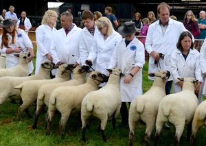 Supporting image for story