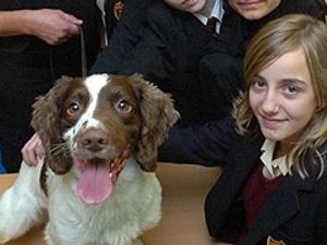 Supporting image for story: Drugs dog brings the word